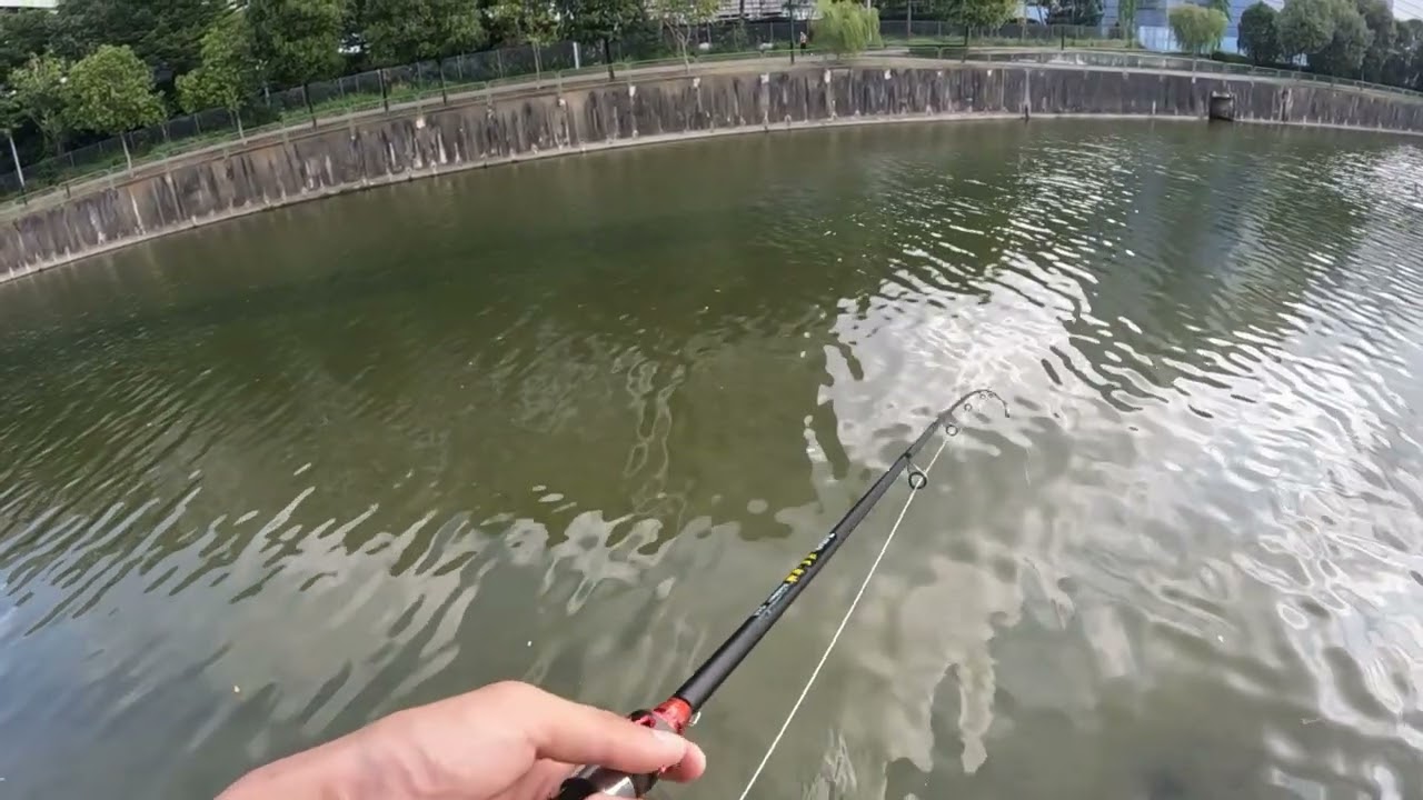 Pelton Canal Fishing