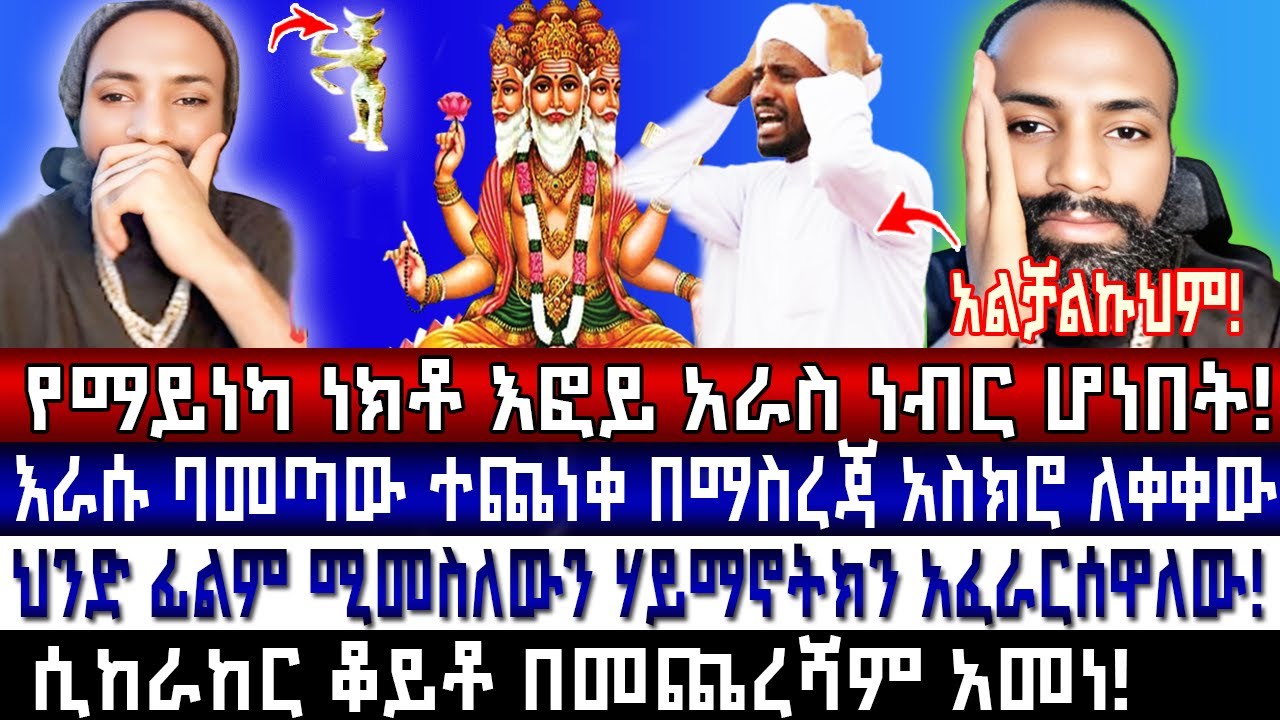የማይነካ ነክቶ እፎይ አራስ ነብር ሆነበት! እራሱ ባመጣው ተጨነቀ እፎይ በማስረጃ አስተማረው! #እፎይ_ቲዩብ_Effoy_TUBE