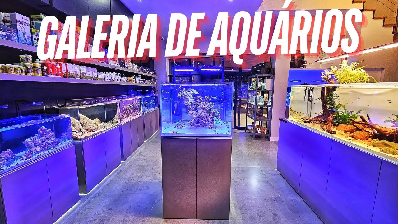 ESSA LOJA É UM ESPETÁCULO, TOUR PELA ECOTOP GALLERY !!!