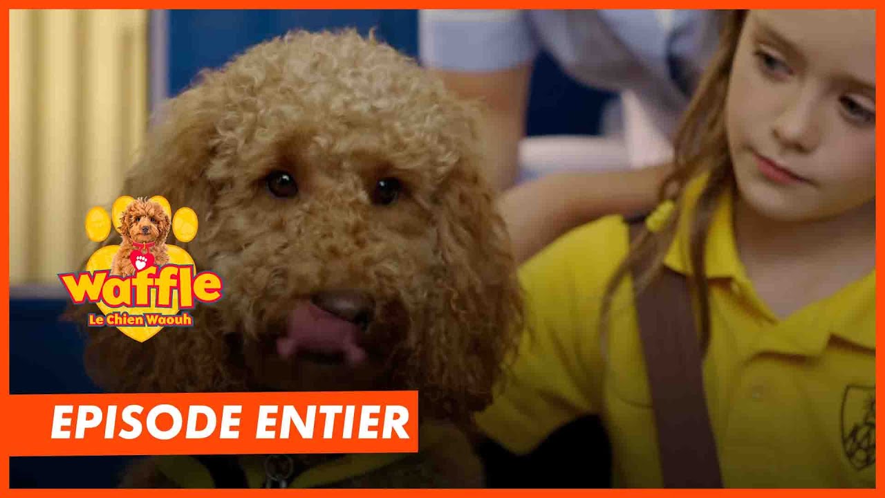 Waffle - Episode intégral S2 