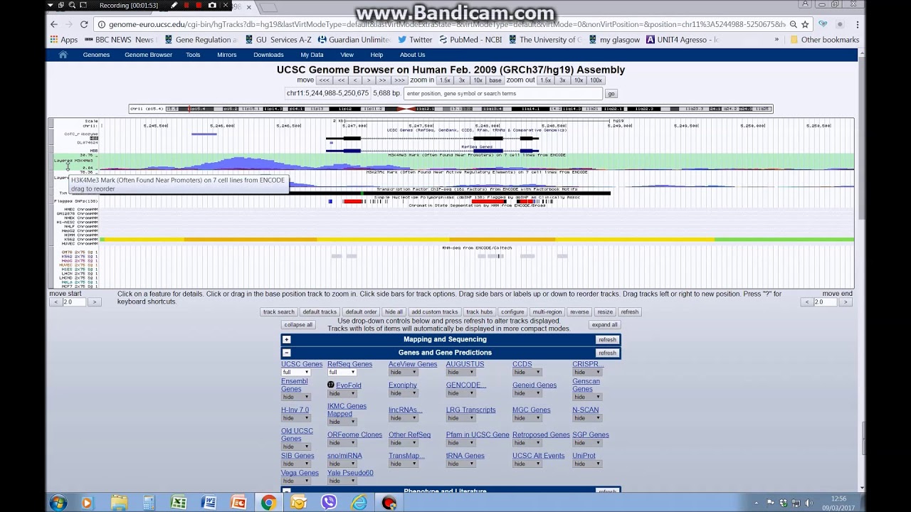 Visualising tracks, genes, splice variants and SNPs on the UCSC genome browser (tutorial 2)