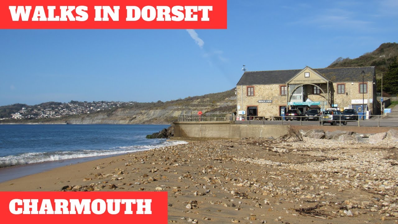 WALKS IN DORSET at CHARMOUTH & WOOTTON FITZPAINE (WITH SPECIAL GUEST 