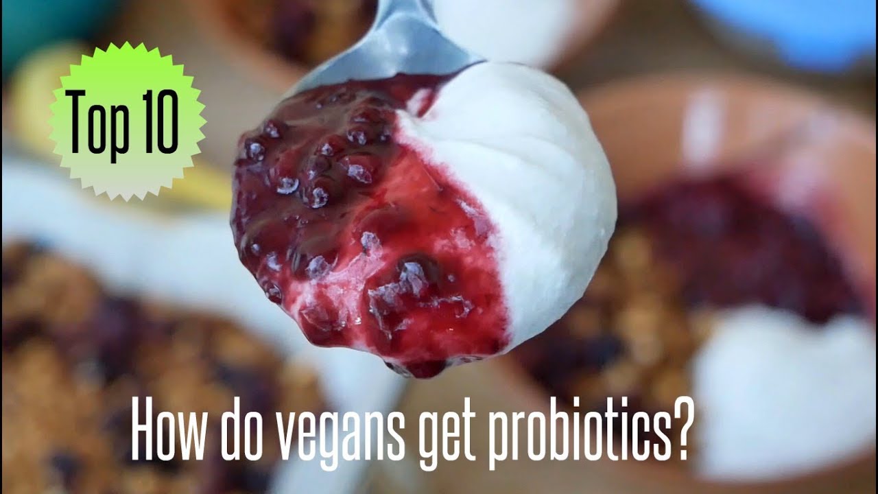 Top 10 Vegan Probiotic Sources with Recipe | Artistic Vegan