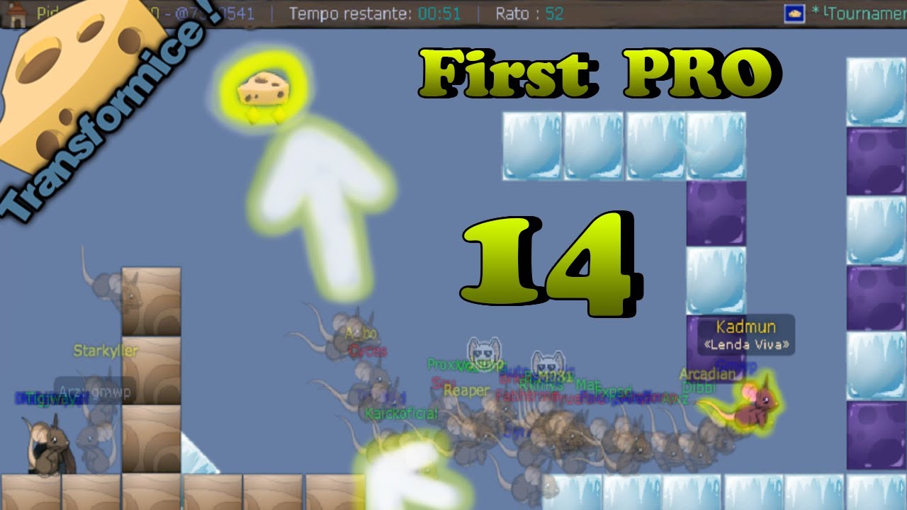Transformice - First PRO Burlas Racing #14