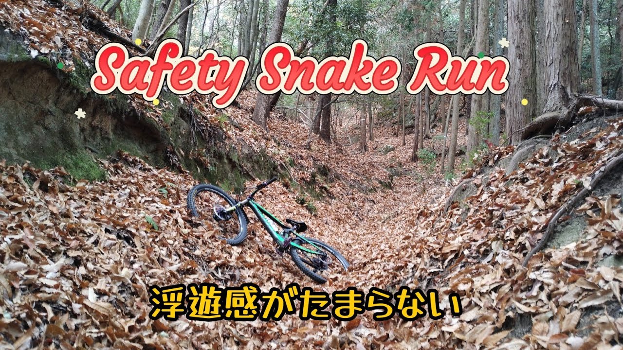 【MTB】Natural PipeLine🍂落葉谷