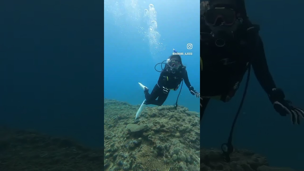 Okinawa diving - Diamond Beach #okinawa #okinawadiving #沖繩潛水 #沖繩的韓國大叔 #沖縄ダイビング