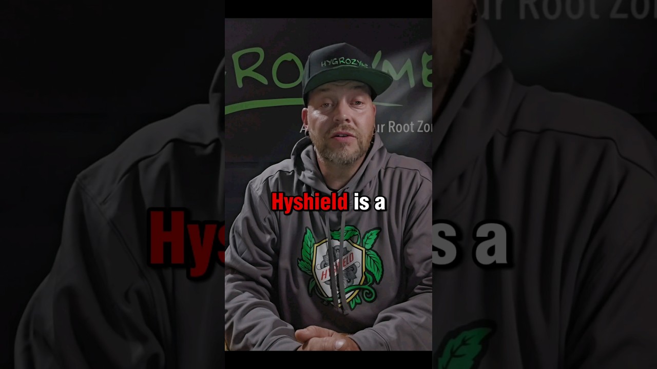What can Hyshield do for me?