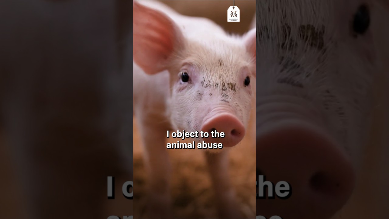 Why does the vegan argument trigger people? #stws #podcast #animalrights