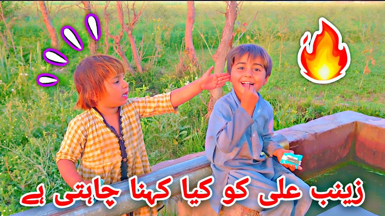 Ali ne Zainab ke sath kya kiya 😱 | Village Life Vlog 90 | Village Life Vlog 90 | Village culture 🌵
