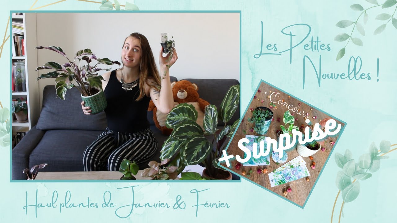 Haul Plantes de Janvier & Février + Surprise [Thérapie Végétale]