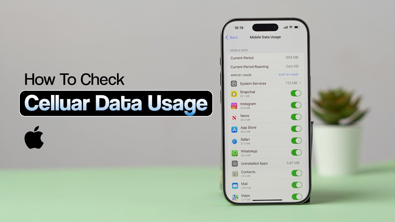 How to Check Cellular Data Usage on iPhone?