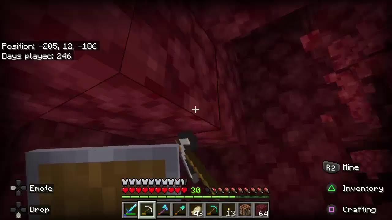 Minecraft survival bedrock
