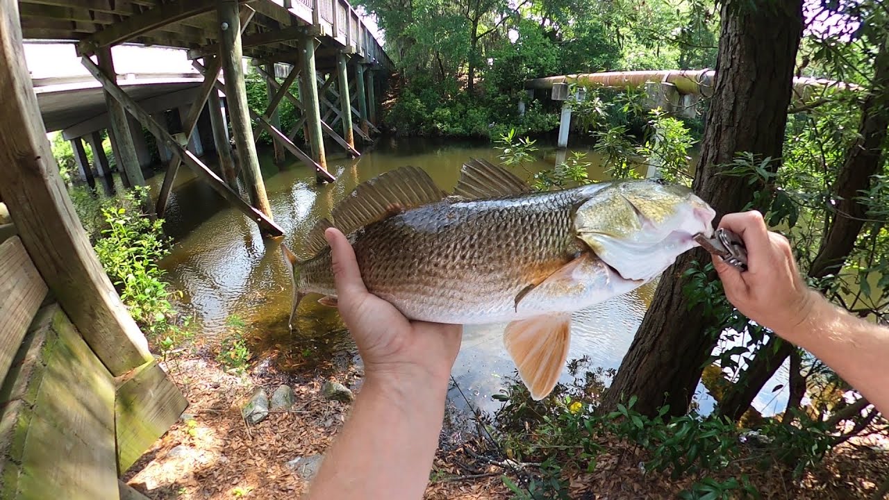 Lagoon Fishing - Hilton Head Island