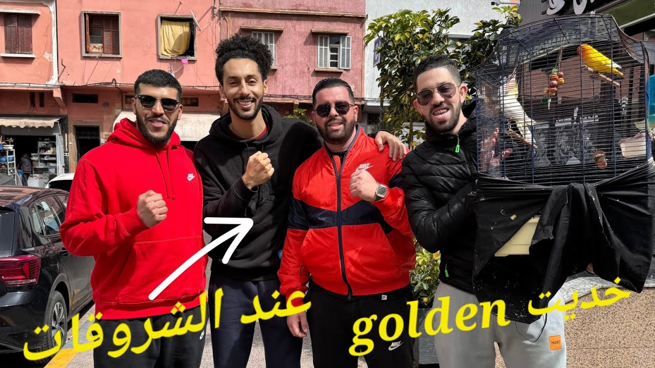 خذيت الفرخ Golden عند خويا Hamada Chroukate و كيف تاق فينا غنتهلاو فيه🥰و الله يدير الخير💚🙏