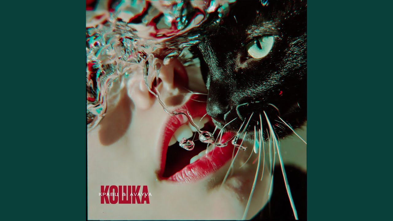 Кошка
