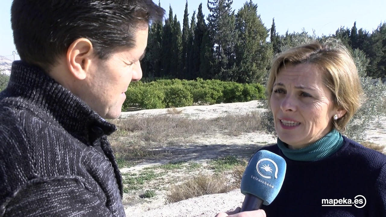 Miedo en Archena por el incremento de robos en las Arboledas y El Hurtado