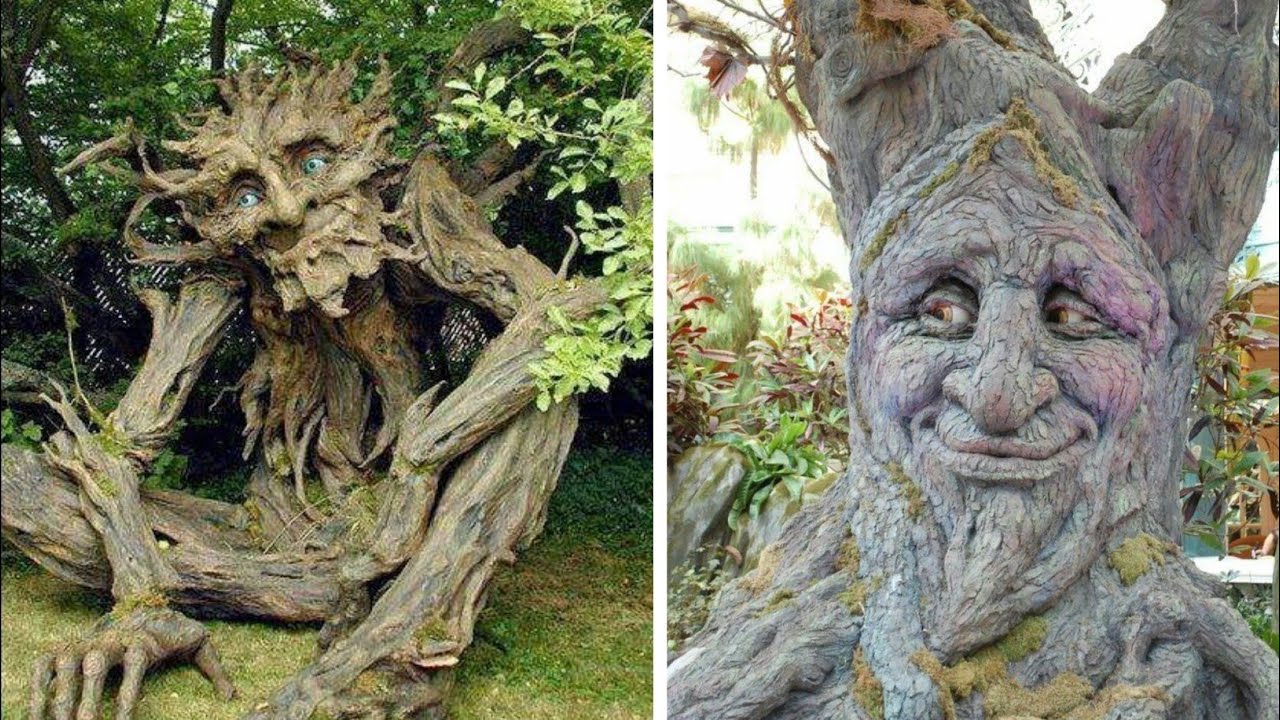 Only LUCKY People Get to See These 10 MAGICAL Trees! 