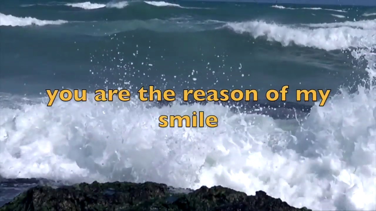 Love words i love you  video message