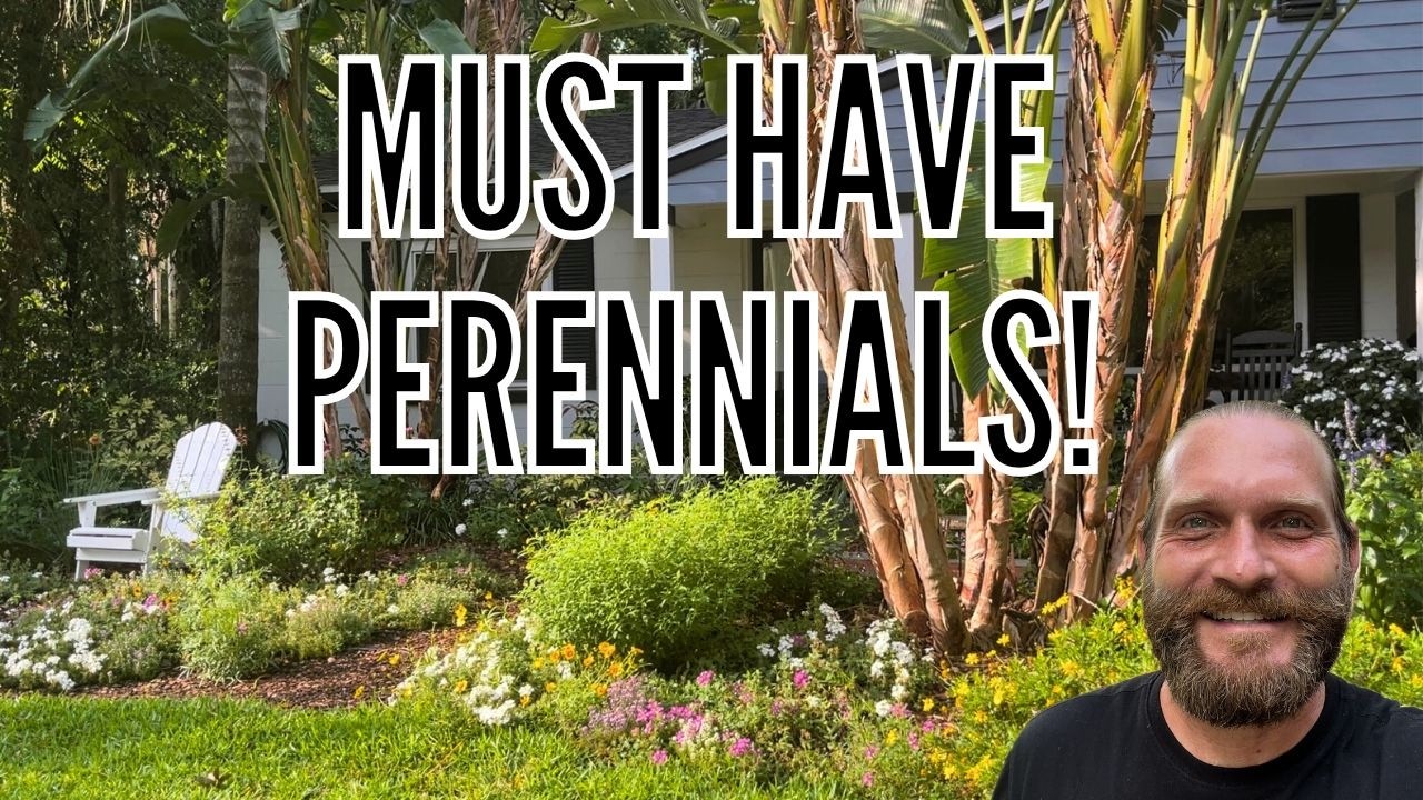 5 Flowering Perennials for Stunning Summer Color! Plant These Now! 🌸// The Gardener's Garden