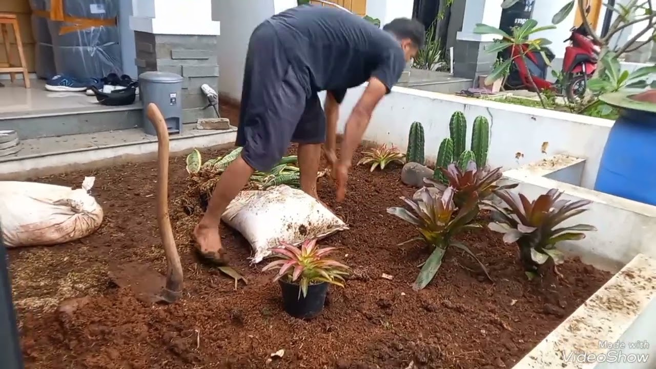 Taman Kering / Cara Membuat Taman Kering Sederhana Budget Ringan
