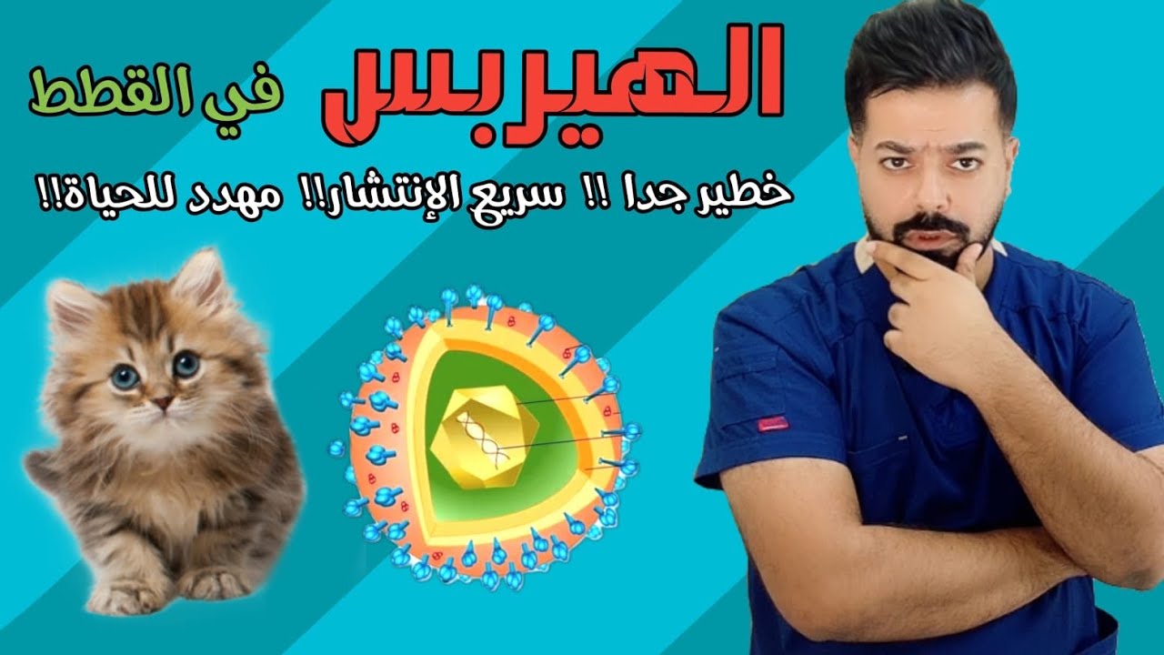 هربس القطط  Feline herpesvirus  FHV-1 in cats