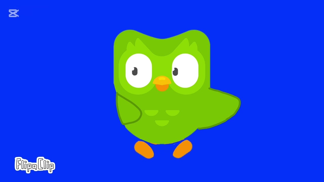 Duolingo бежит футаж 