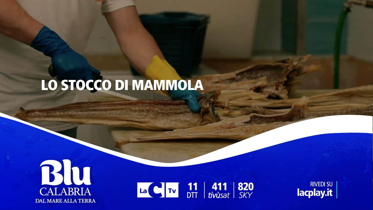 Lo stocco di Mammola - 𝐁𝐥𝐮 𝐂𝐚𝐥𝐚𝐛𝐫𝐢𝐚, 𝐝𝐚𝐥 𝐦𝐚𝐫𝐞 𝐚𝐥𝐥𝐚 𝐭𝐞𝐫𝐫𝐚