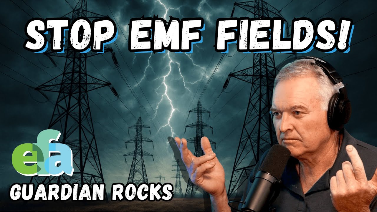 EMF Protection for Farms: The Power of Guardian Rocks