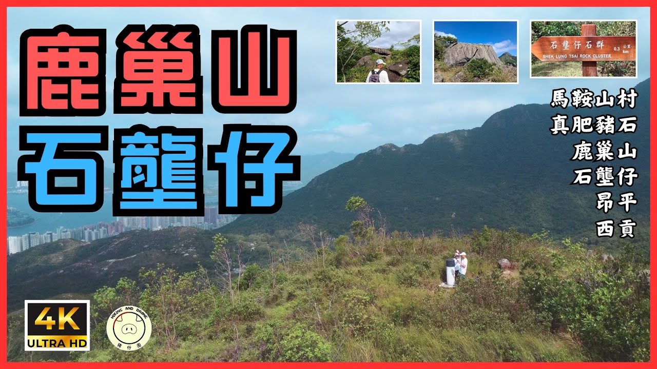 [輕鬆郊遊] 鹿巢山, 石壟仔 | 馬鞍山村➡️菠蘿輋 | 全程6.7km| #鹿巢山 #石壟仔 #真肥豬石 #麥理浩徑 #gpx