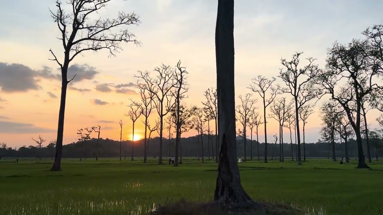 Talai.dongnai.28tet