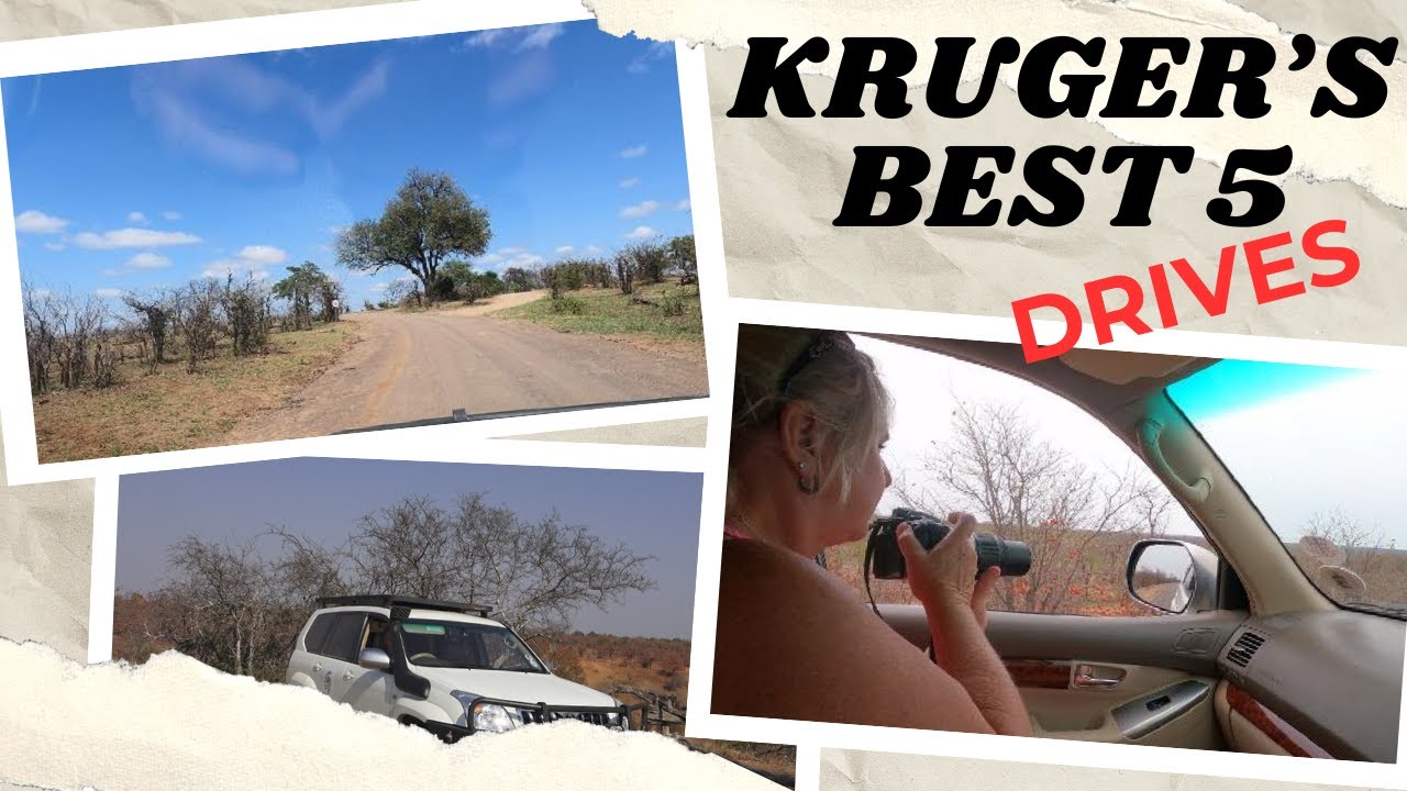The best five drives in Kruger