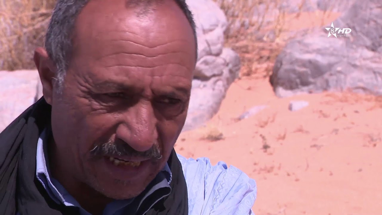 مبعوث خاص، تحقيق غير مسبوق حول 