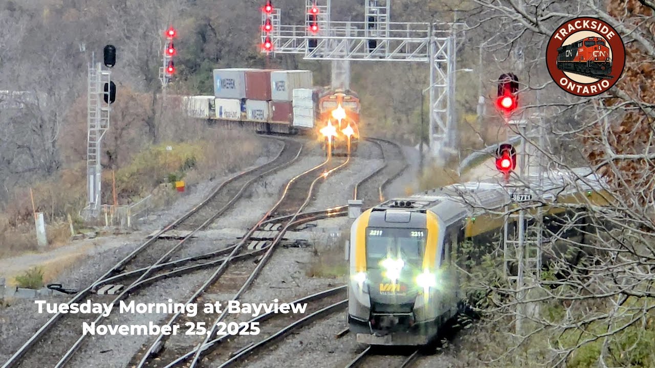 Tuesday Morning at Bayview • November 25, 2025