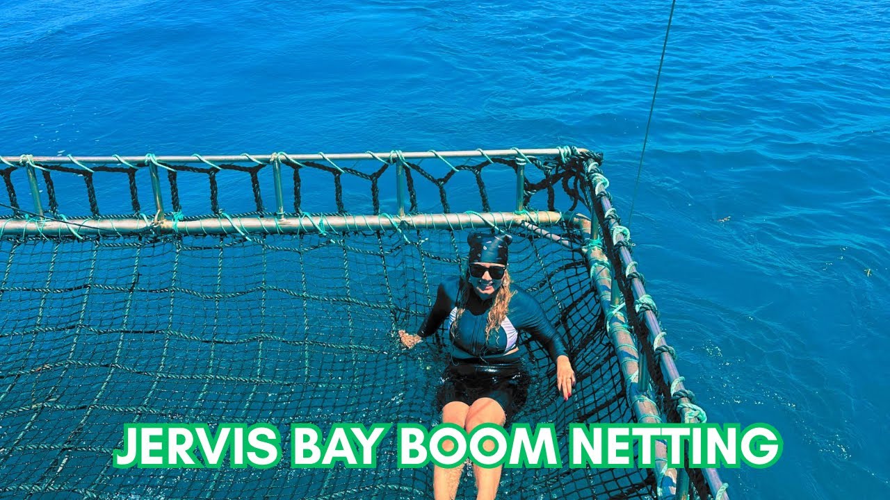 DOLPHIN CRUISE || BOOM NETTING || HYAMS BEACH’S WHITEST SAND