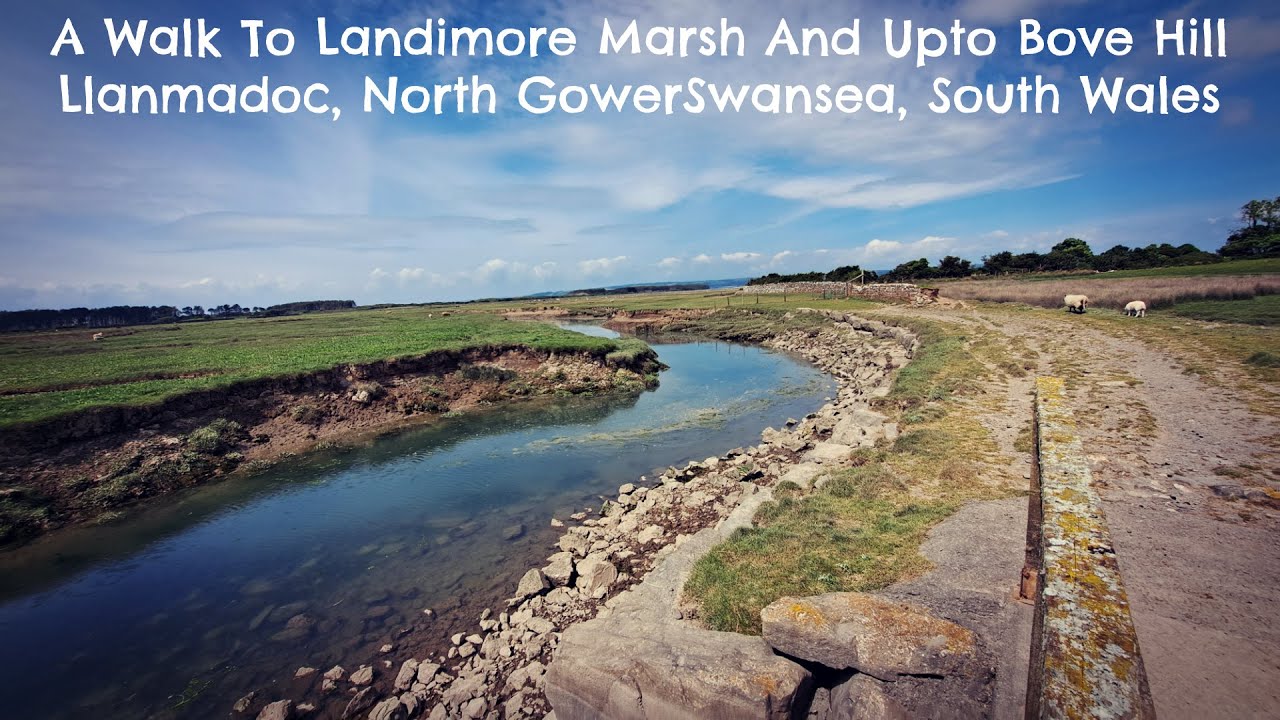A Walk To Llandimore Marsh And Upto Bove Hill, Llanmadoc, North Gower, Swansea