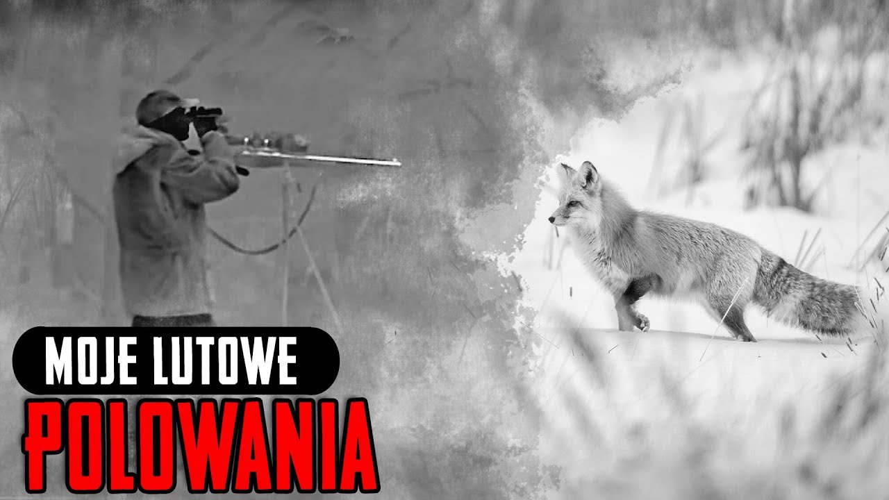 Moje lutowe polowania. Sporo celnych strzałów.