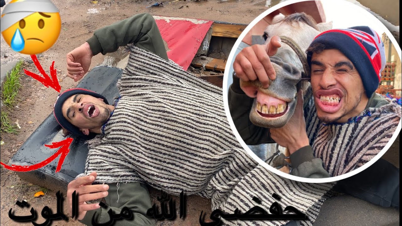 كوبنهاكن شرا عودة من سوق هربات بيه كانت غا تقتلو 😱 Ho predito nouva cavalina 🔥🔥🔥