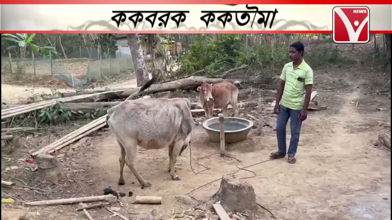 Kokborok News | ককবরক ককতৗমা (ককবরক সংবাদ) #kokboroknews #tripurakokborok #ককবরক #newsvanguard