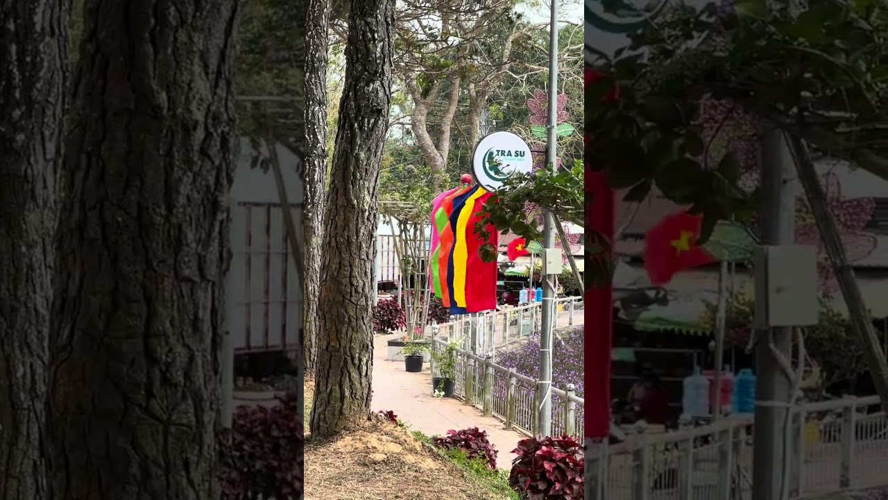 Núi Cấm đi dạo công viên 