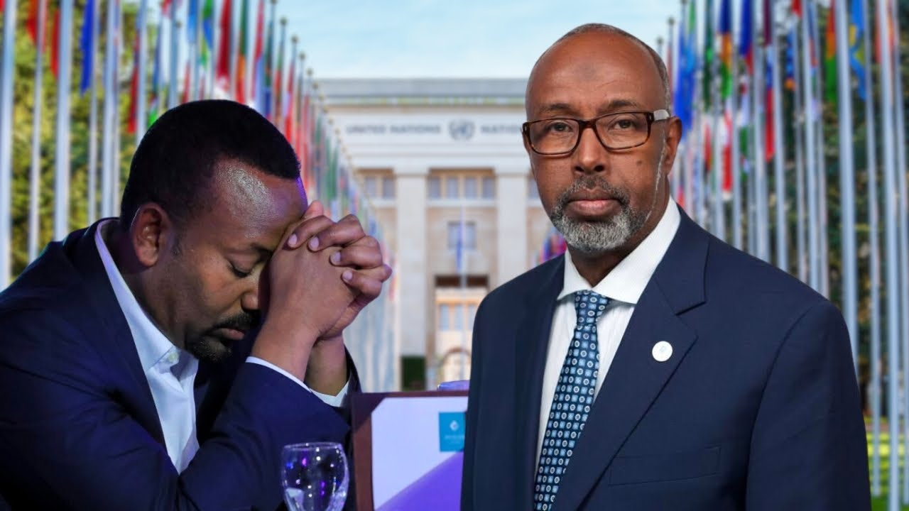 UN SECURITY :Somalia’s Ambassador to the UN delivers speech at the UN Security Council meeting