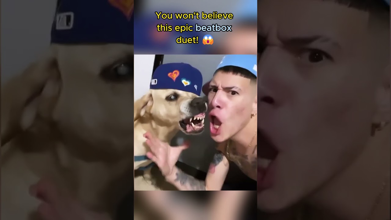 Epic Beatbox Duet Man and Dog Wow the Crowd! 😱 (@escobeditto via TikTok) #beatbox #dogs #shorts