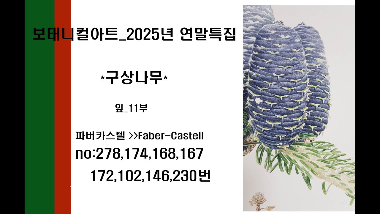 보태니컬아트중급교재V.2 구상나무_11부 가지