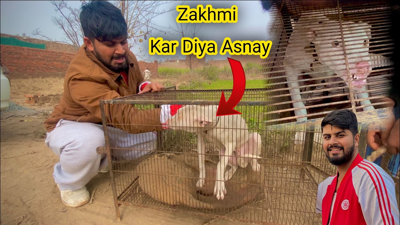 Ek Baar pher Aggrasive Gultair Lay Kar Phas Gay😳 | Punjabi Shok Vlogs