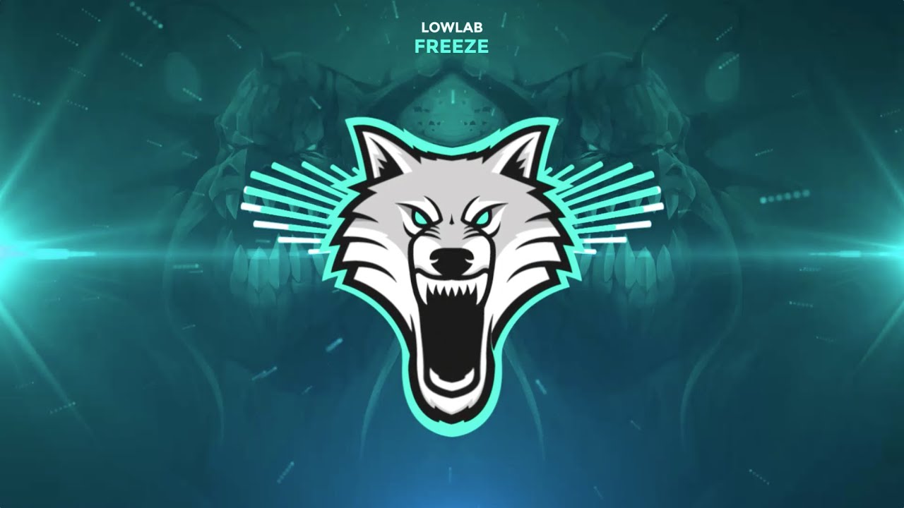 LOWLAB - FREEZE
