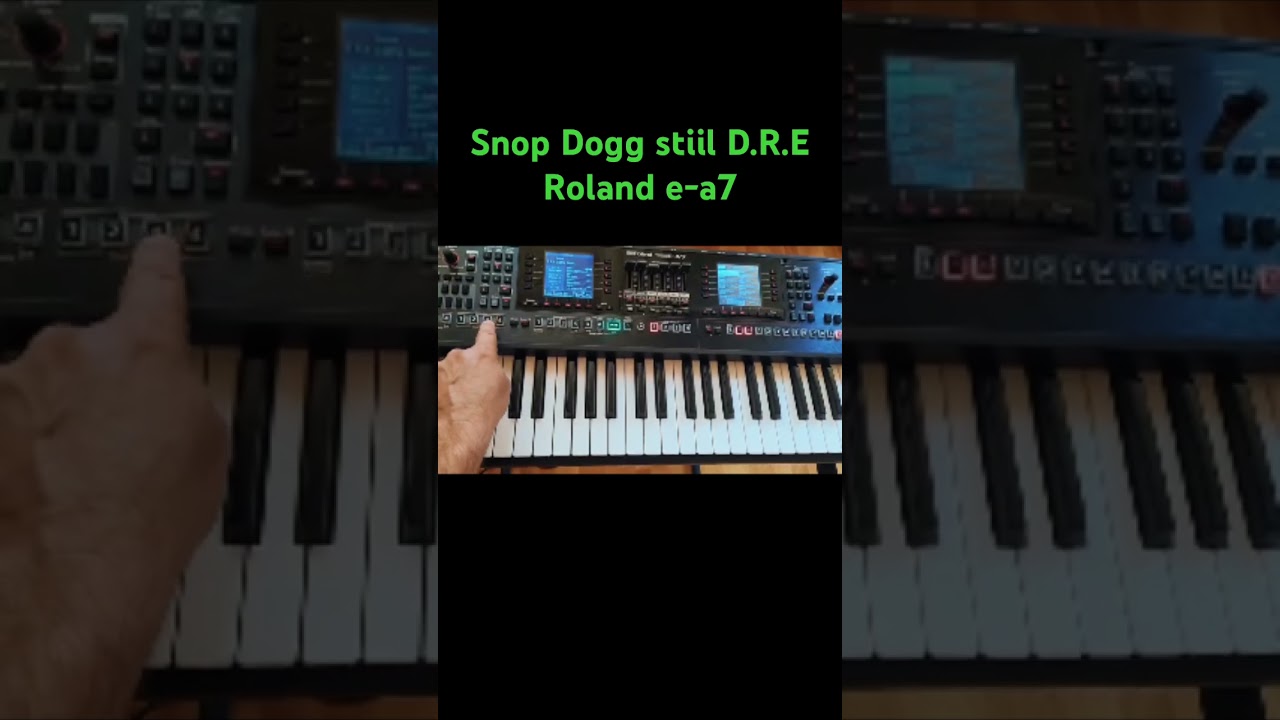 Snop Dogg Stiiil D.R.E Roland e-a7#rolandea7 #yamaha #korg #ensoniq