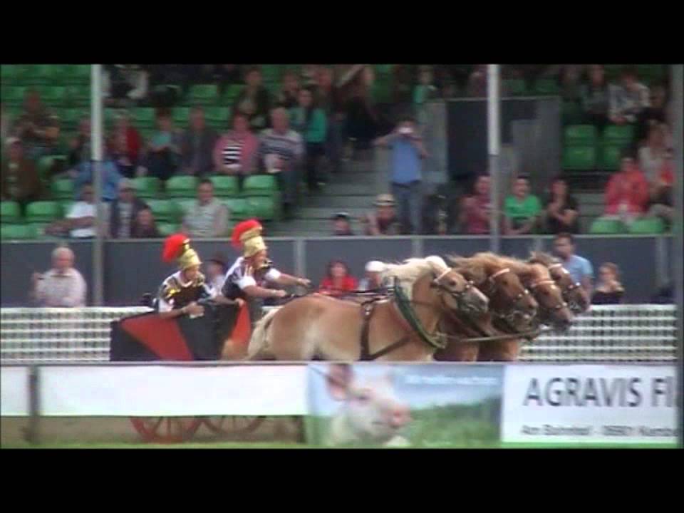 DKT - Titanen der Rennbahn 2015 - Römerwagenrennen
