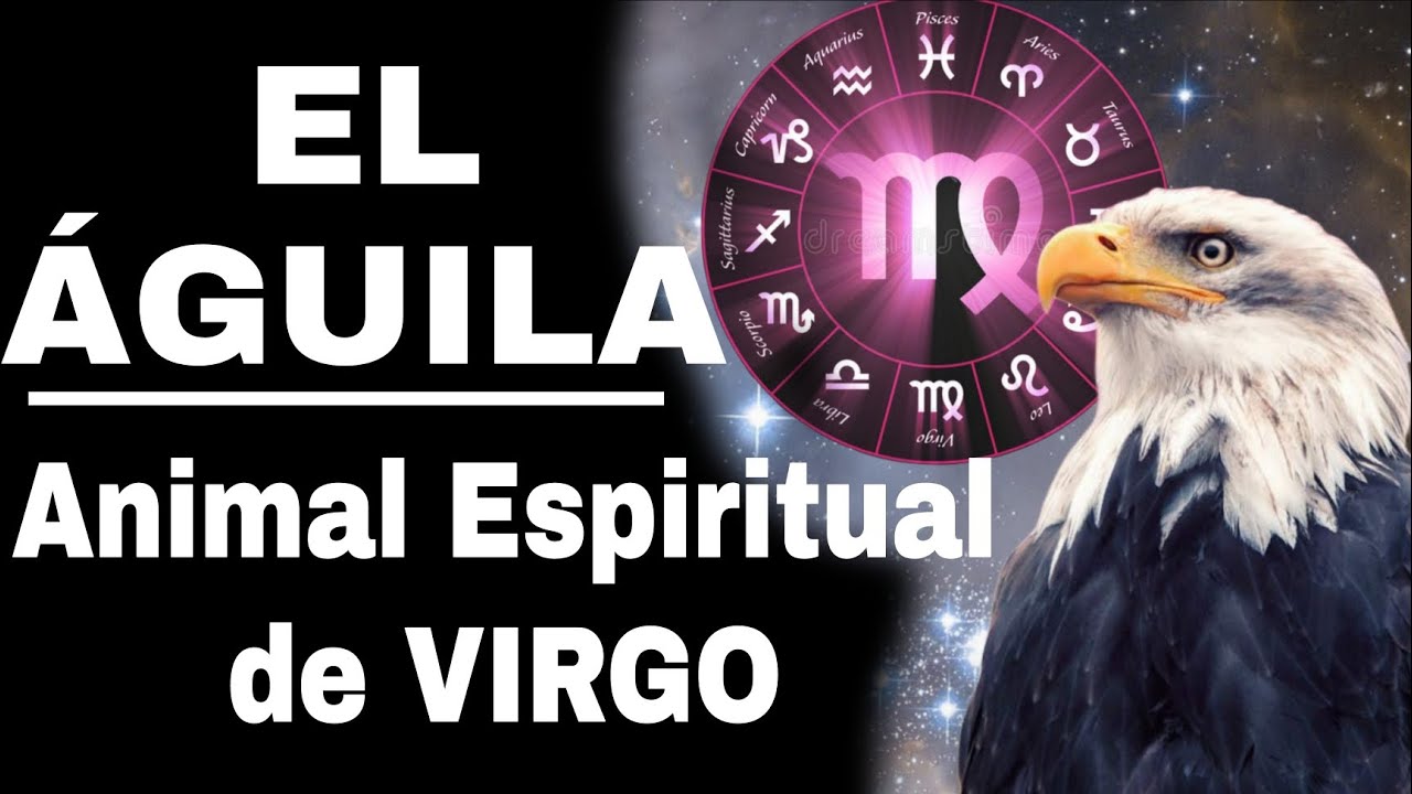 EL &Aacute;GUILA ANIMAL ESPIRITUAL DE VIRGO /PORQU&Eacute; EL &Aacute;GUILA REPRESENTA BIEN A VIRGO