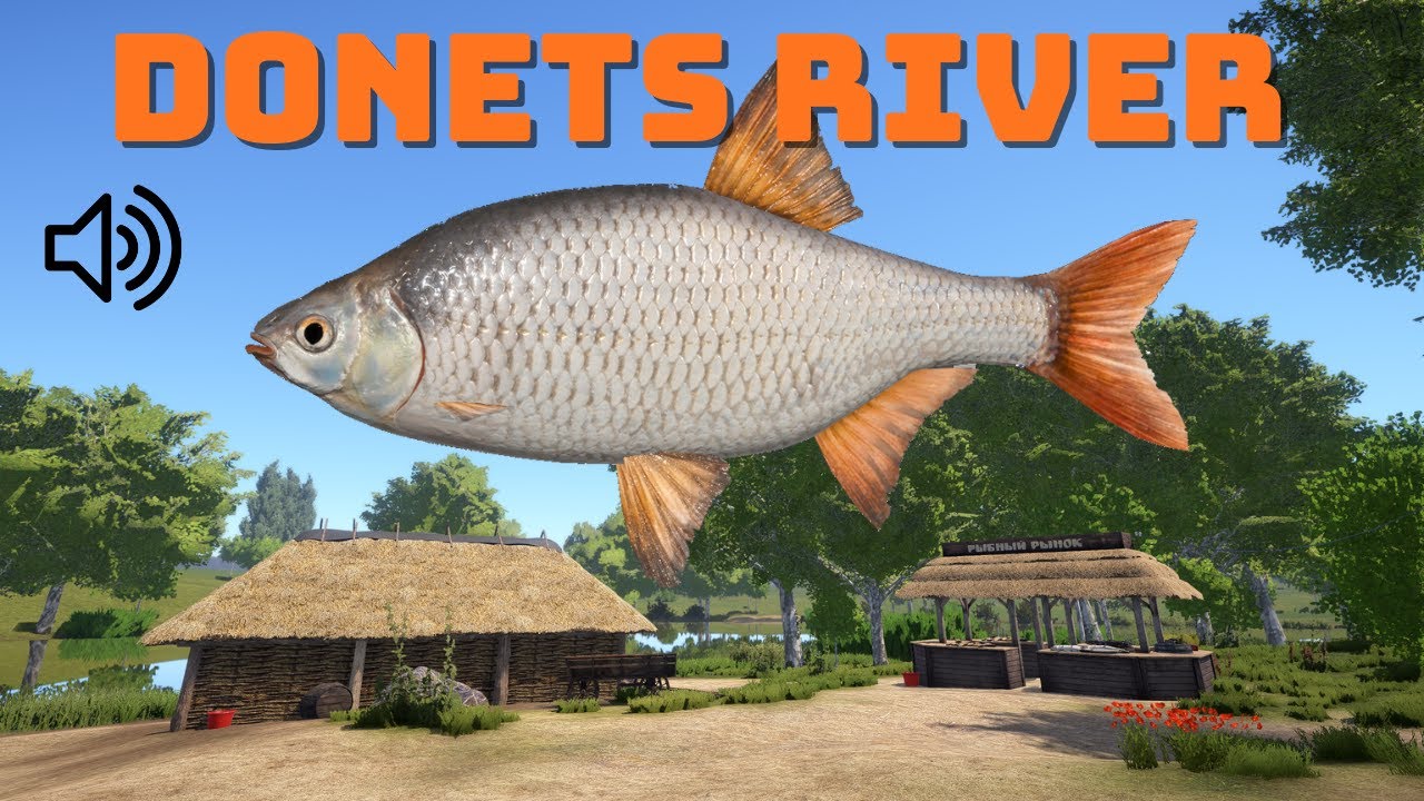 Rzeka Doniec Gadane Taranie | Russian Fishing 4