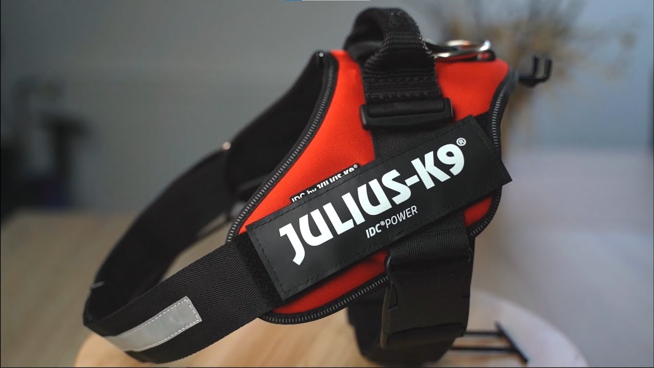 IDC&reg; Power Harness: From Concept to Creation by Julius-K9