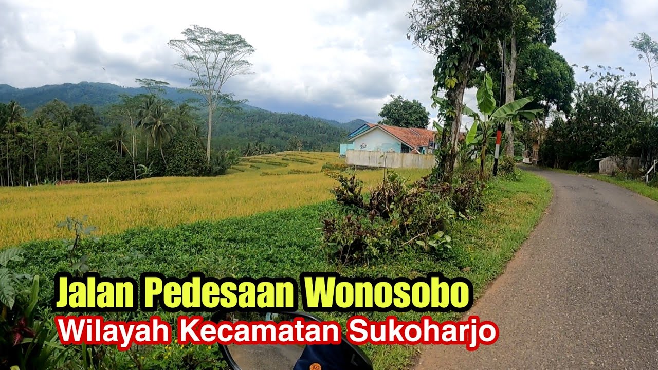Jalan Pedesaan Wonosobo, Kecamatan Sukoharjo Wonosobo Jawa Tengah || #DolanNgeVlog